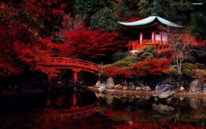 Luna de miel en Japon 