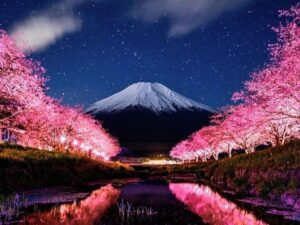 Luna de miel en Japon