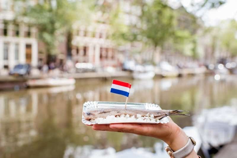 10 Best Food Tours in Amsterdam to Book