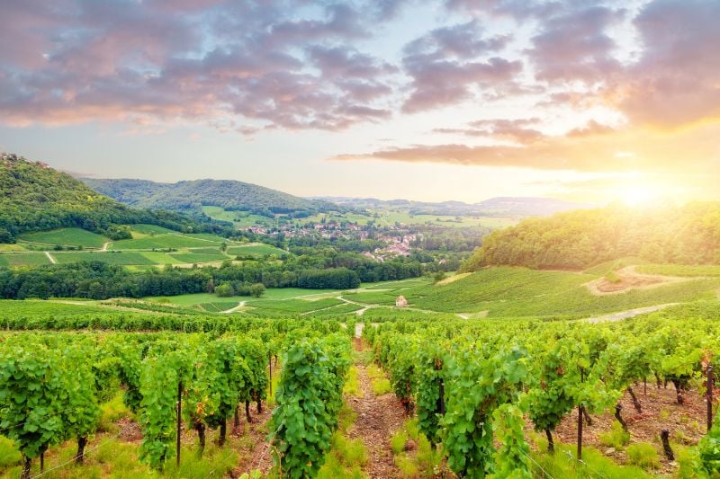 19 Best Things to Do in Burgundy, France & Places to Visit
