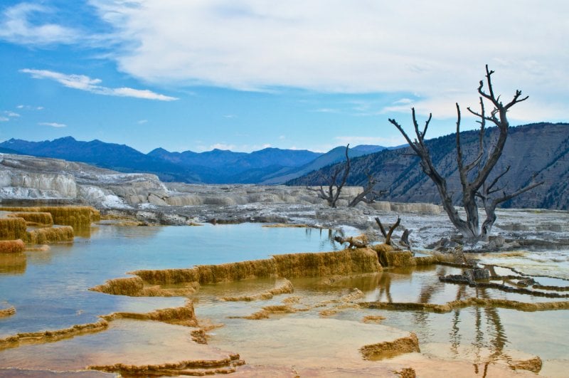 12 Best Things to Do Near Mammoth Hot Springs, Yellowstone