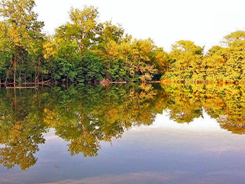 Trees and the Sky Reflection on a Lake