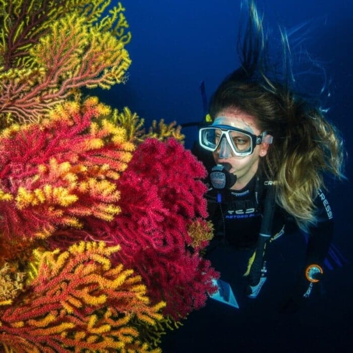 9 Best Scuba Travel Insurance Options for Divers