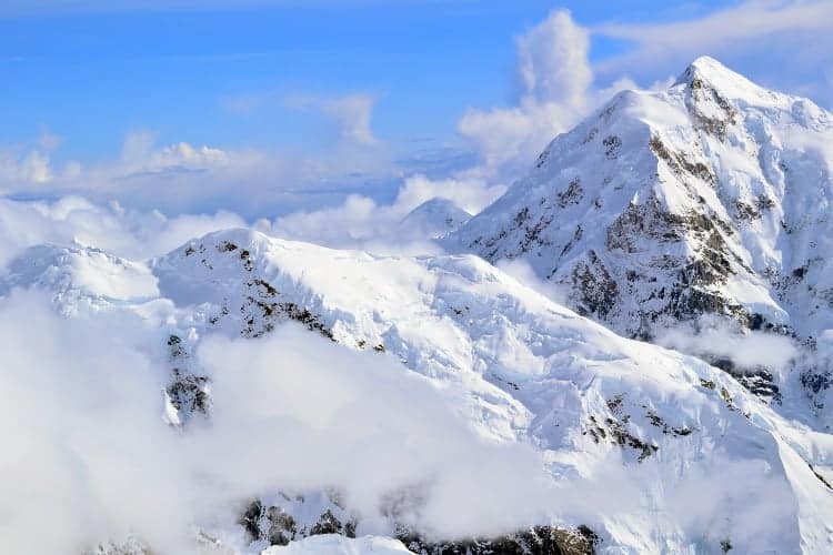 9 Best Denali Hiking Tours